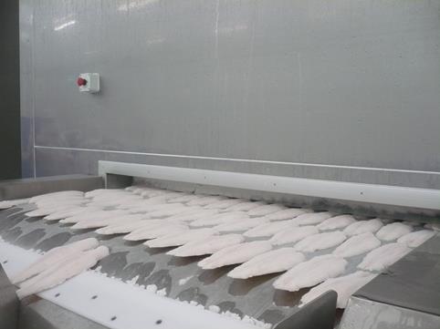 BĂNG CHUYỀN IQF DẠNG PHẲNG - Image 2