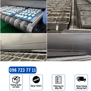 băng chuyền iqf dạng lưới 1
