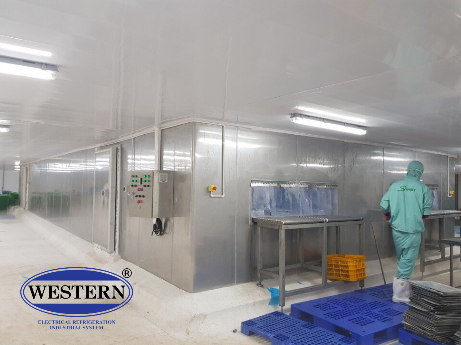 băng chuyền bqf là gì