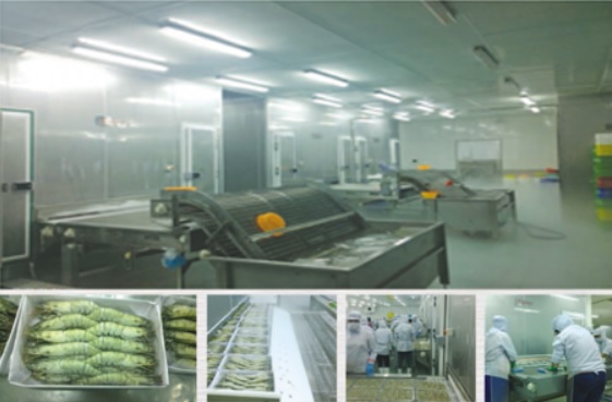 Kho lạnh bảo quản thuỷ hải sản