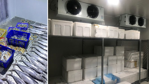 kho lạnh bảo quản cá