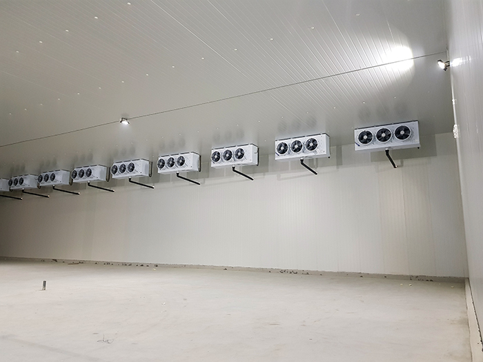 Lắp đặt kho mát