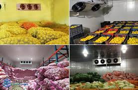 kho lạnh bảo quản nông sản