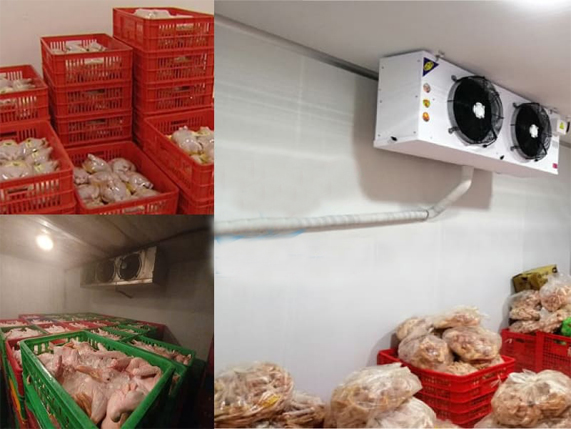 Lắp đặt kho lạnh bảo quản cá