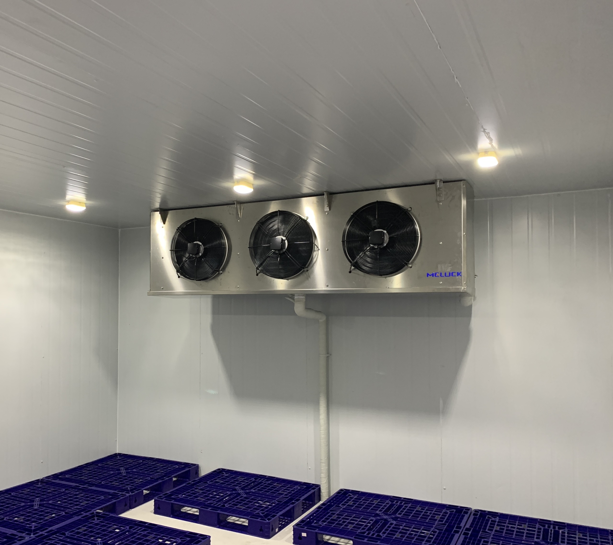 Thiết kế kho đông lạnh sầu riêng