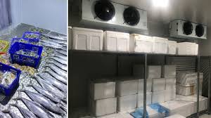 kho lạnh bảo quản cá 1