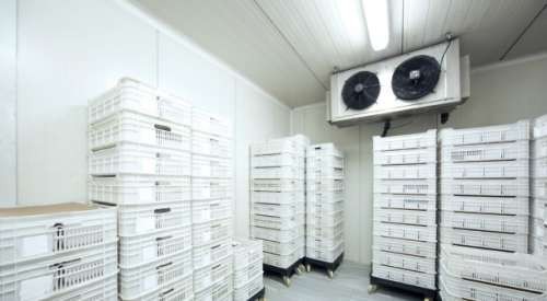 Lắp đặt kho lạnh bảo quản