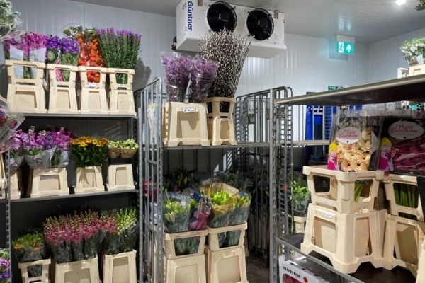 nhiệt độ bảo quản hoa tươi