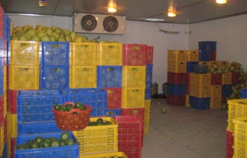 Thiết kế kho lạnh bảo quản cam