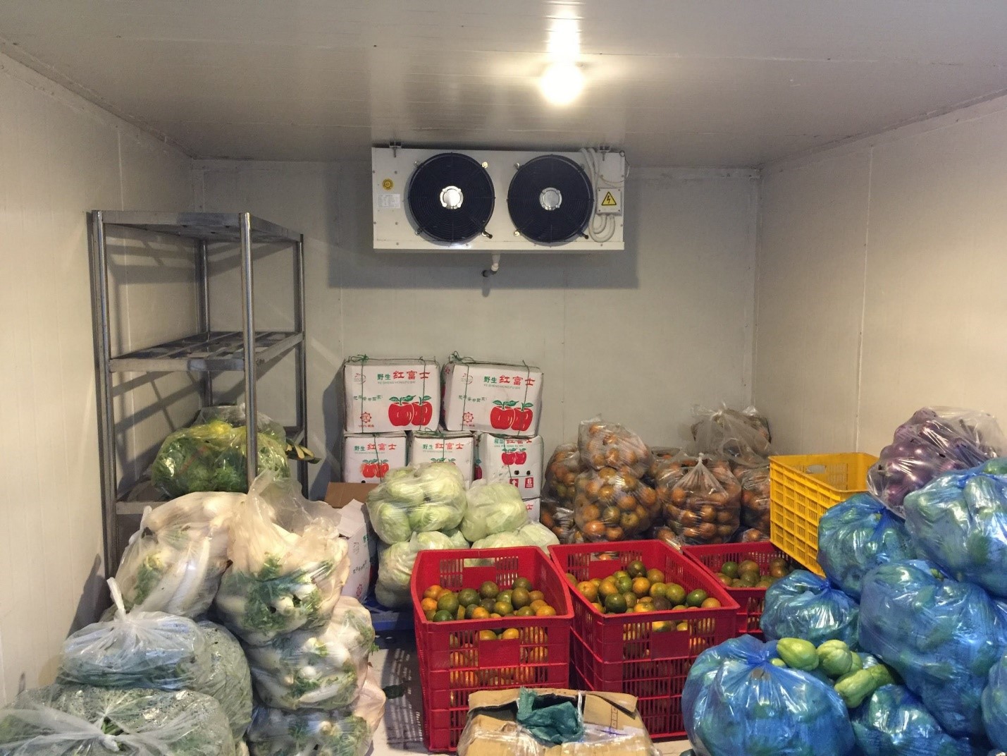 Thiết kế kho lạnh bảo quản trái cây