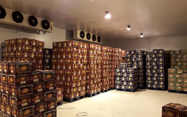 nhiệt độ kho bảo quản lạnh