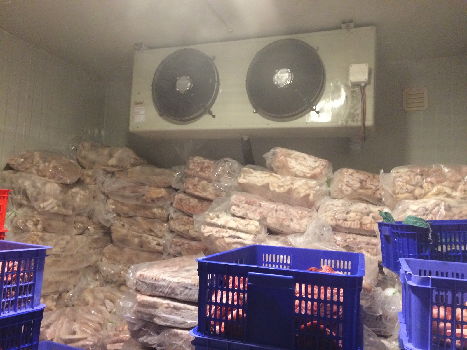 thiết kế thi công kho lạnh bảo quản thịt